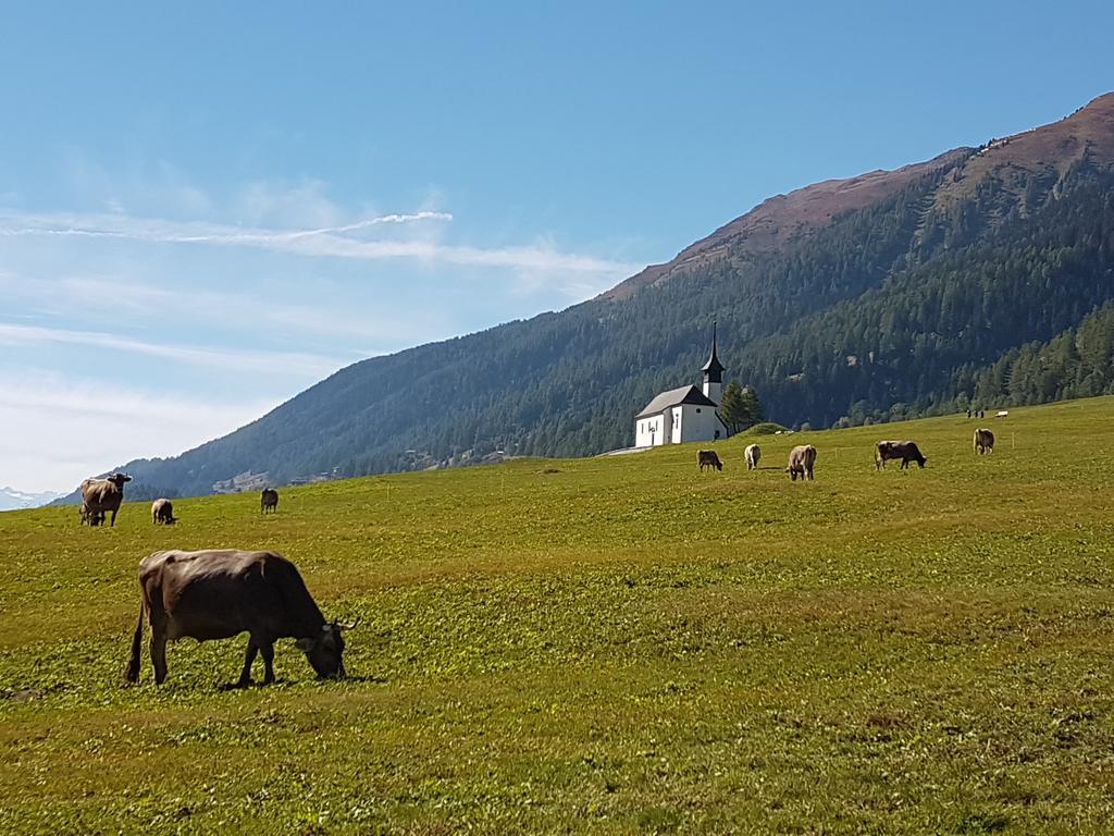 Chalet Daheim Reckingen Exteriör bild